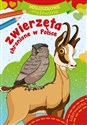 Zwierzęta chronione w Polsce. Maluszkowe malowanie  polish usa