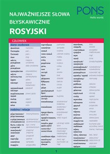 Błyskawicznie gramatyka rosyjska mini  