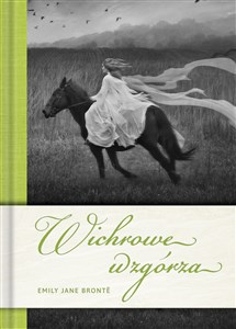 Wichrowe wzgórza buy polish books in Usa