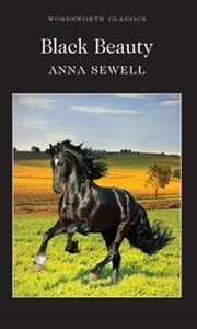 Black Beauty Polish Books Canada