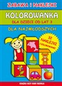 Kolorowanka dla dzieci od lat 3. Dla najmłodszych 32 naklejki i kolorowanki  