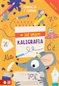Już umiem Kaligrafia buy polish books in Usa