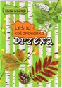 Drzewa. Leśna kolorowanka pl online bookstore