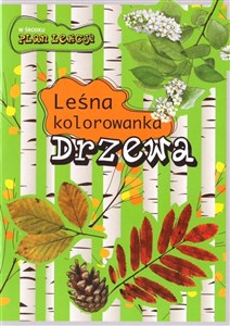 Drzewa. Leśna kolorowanka pl online bookstore