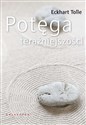 Potęga teraźniejszości  