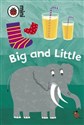 Early Learning Big and Little -  