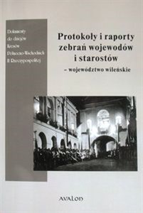 Protokoły i raporty zebrań wojewodów i starostów województwo wileńskie  