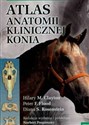 Atlas anatomii klinicznej konia buy polish books in Usa
