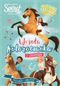 Spirit Riding Free Wesoła kolorowanka z zadaniami Polish bookstore