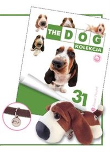 Dog Kolekcja 31 Bassethound Polish bookstore