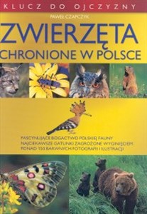 Zwierzęta chronione w Polsce polish books in canada