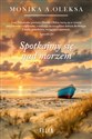 Spotkajmy się nad morzem Wielkie Litery online polish bookstore