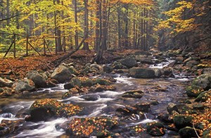 Kalendarz 2026 trójdzielny  buy polish books in Usa