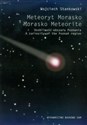 Meteoryt Morasko Osobliwość obszaru Poznania - Wojciech Stankowski