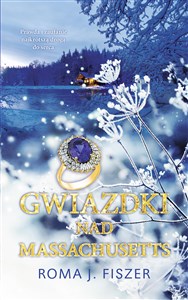 Gwiazdki nad Massachusetts bookstore