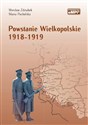 Powstanie Wielkopolskie 1918-1919 w.2  Polish Books Canada