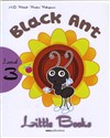 Black Ant (With CD-Rom) Bookshop