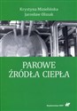 Parowe źródła ciepła - Krystyna Mizielińska, Jarosław Olszak online polish bookstore