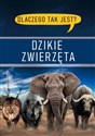 Dlaczego tak jest? Dzikie zwierzęta - 