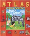 Atlas dzikich zwierząt Bolka i Lolka  bookstore