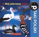 Ptaki Polski Mój pierwszy atlas online polish bookstore