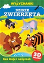 Wypychanki Dzikie zwierzęta  