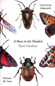 A Buzz in the Meadow  Bookshop