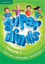 Super Minds 2 Flashcards Polish Books Canada