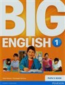 Big English 1 Podręcznik polish books in canada