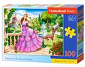 Puzzle Princess in the Royal Garden 100 - 