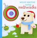 Wielkie marzenie małego niedźwiadka polish books in canada