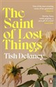 The Saint of Lost Things to buy in USA