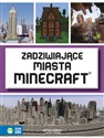 Zadziwiające miasta Minecraft  