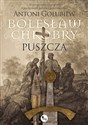 Bolesław Chrobry Puszcza - Antoni Gołubiew