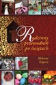 Rodzinny przewodnik po świętach - Elżbieta Kopocz