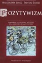 Pozytywizm Leksykon literatury Polskiej dla uczniów i nauczycieli books in polish