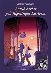 Antykwariat pod Błękitnym Lustrem Bookshop