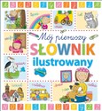 Mój pierwszy słownik ilustrowany - Laura Aceti