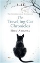 The Travelling Cat Chronicles Polish bookstore