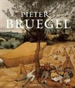 Pieter Bruegel chicago polish bookstore
