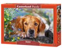 Puzzle Golden Innocence 500  