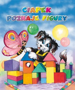 Ciapek poznaje kolory buy polish books in Usa