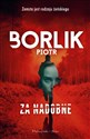 Za nadobne  buy polish books in Usa