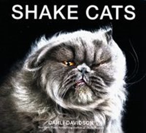 Shake Cats 