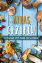 Atlas grzybów - Polish Bookstore USA