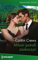 Miłość potrafi zaskoczyć  - Caitlin Crews