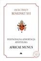 Posynodalna Adhortacja Apostolska Africae Munus polish usa