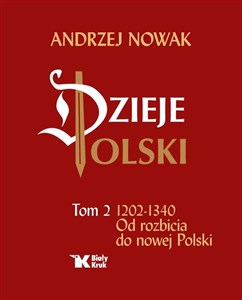 Dzieje Polski Od rozbicia do nowej Polski Tom 2 bookstore