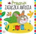Przygoda zajączka Antosia pl online bookstore