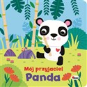 Mój przyjaciel Panda z maskotką  
